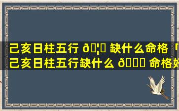 己亥日柱五行 🦈 缺什么命格「己亥日柱五行缺什么 🐒 命格好」